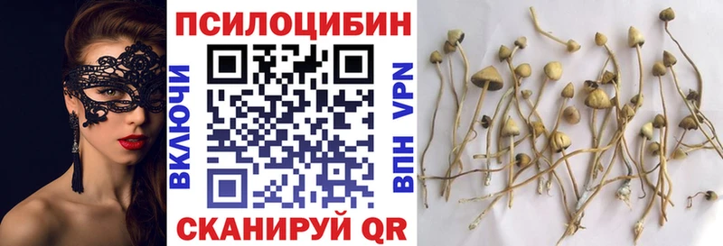Галлюциногенные грибы Magic Shrooms Вилюйск