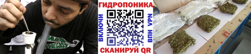 магазин    Вилюйск  mega сайт  Шишки марихуана White Widow 